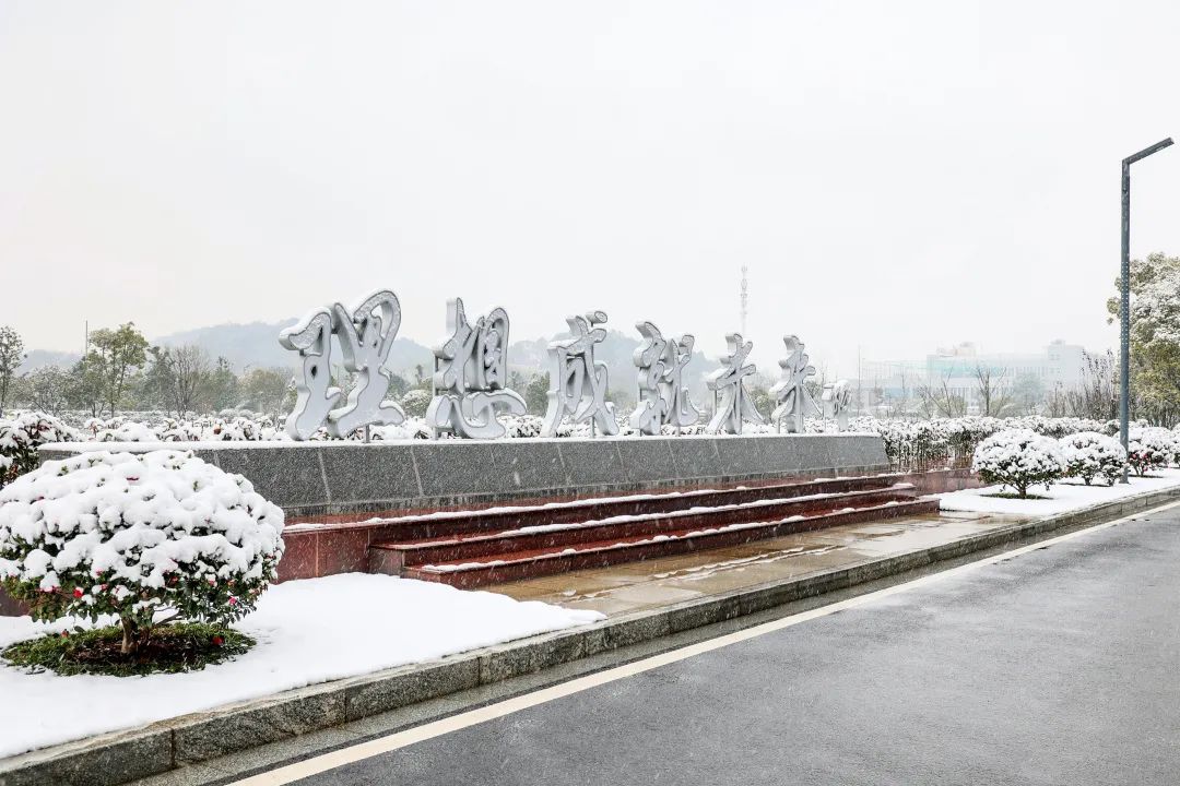 瑞雪兆豐年，邀您共賞雪中山河！